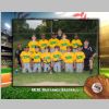 baseball2016a.jpg